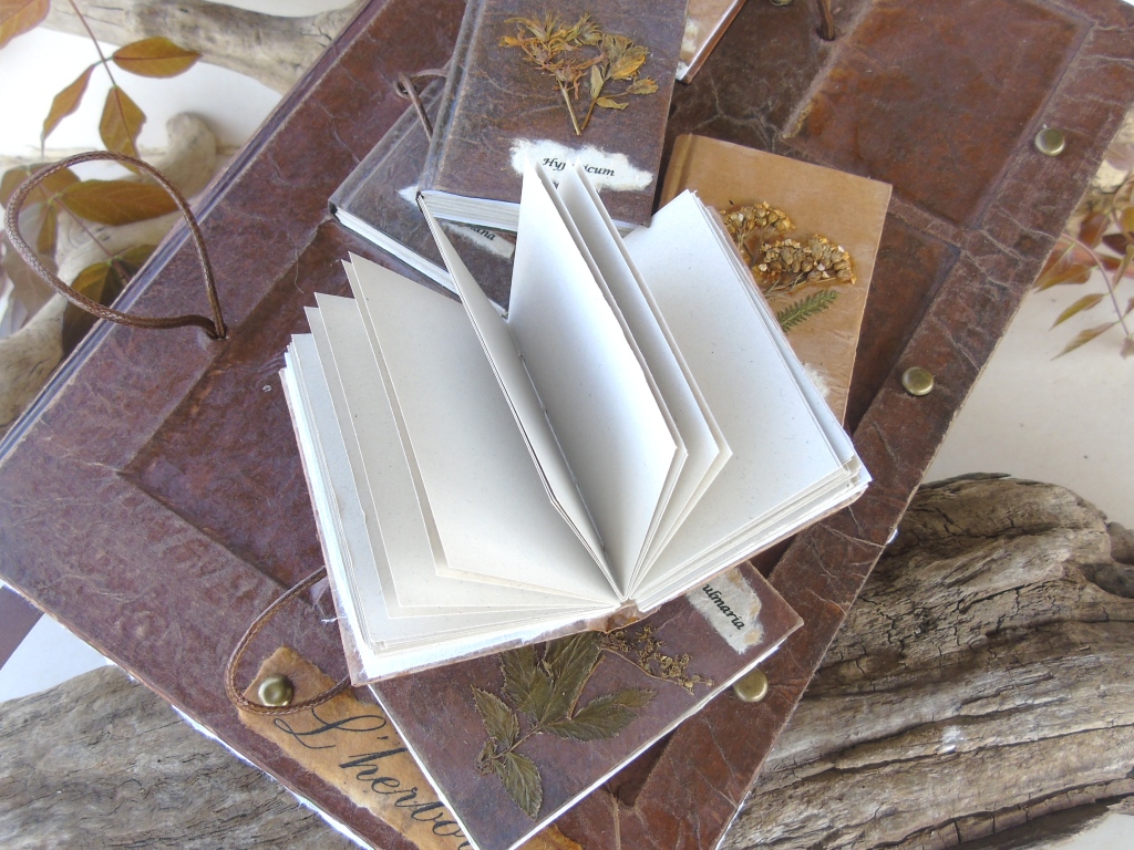Grimoire herbier L'Herboriste, création unique, reliure artisanale