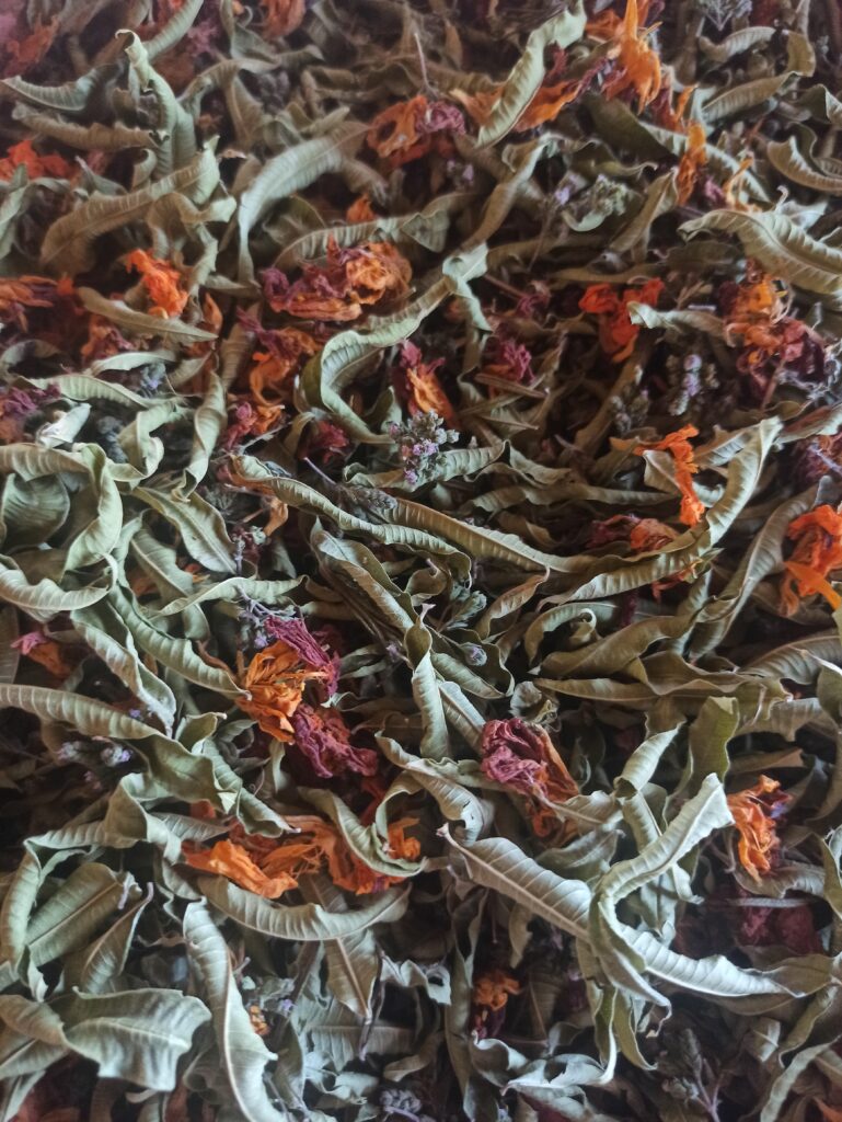 Tisane Le jardin d'Aloysia