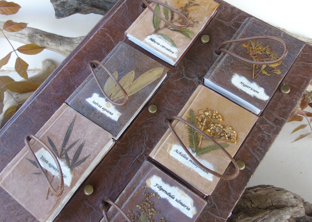 Grimoire herbier L'Herboriste, création unique, reliure artisanale