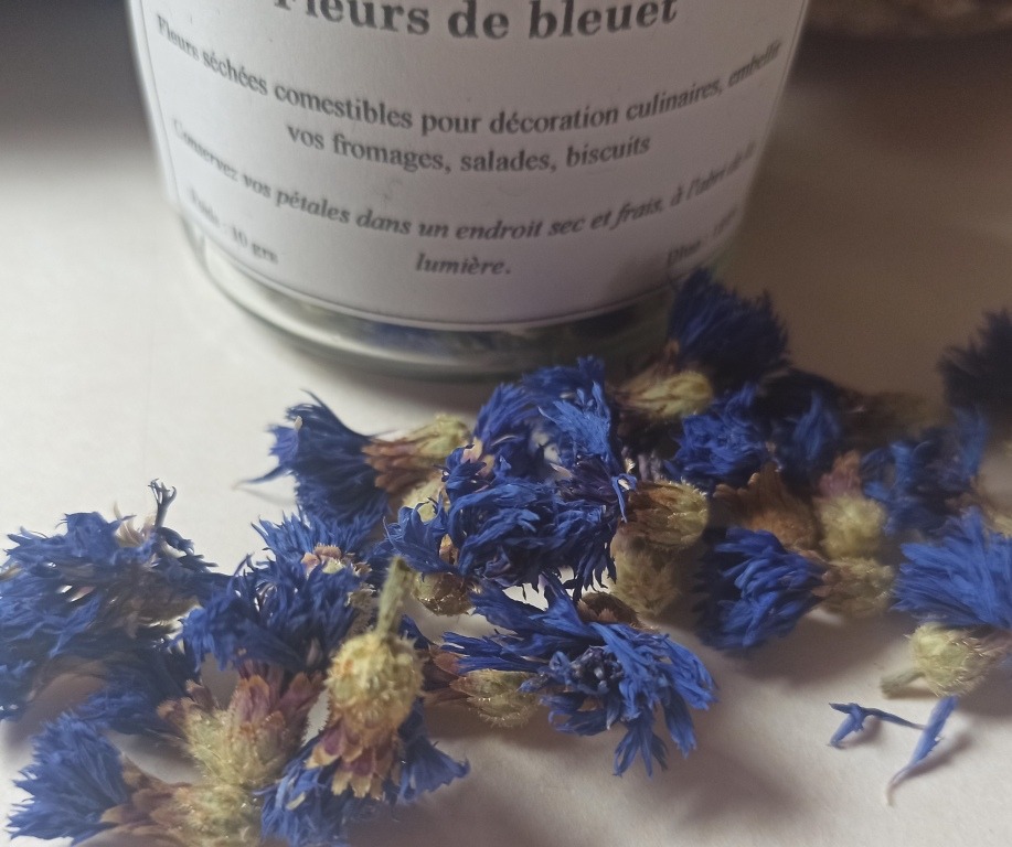 Fleurs de bleuet gm