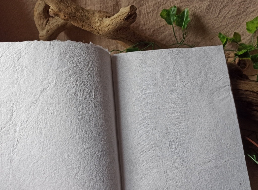 Herbier papier coton, reliure artisanale L'arbre à papier