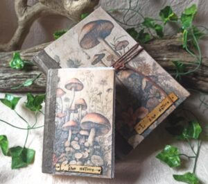 Carnets page d'accueil site