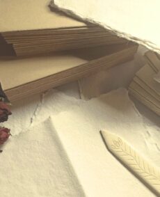 L'arbre à papier Grimoires, papier artisanal, herbiers, conteurs