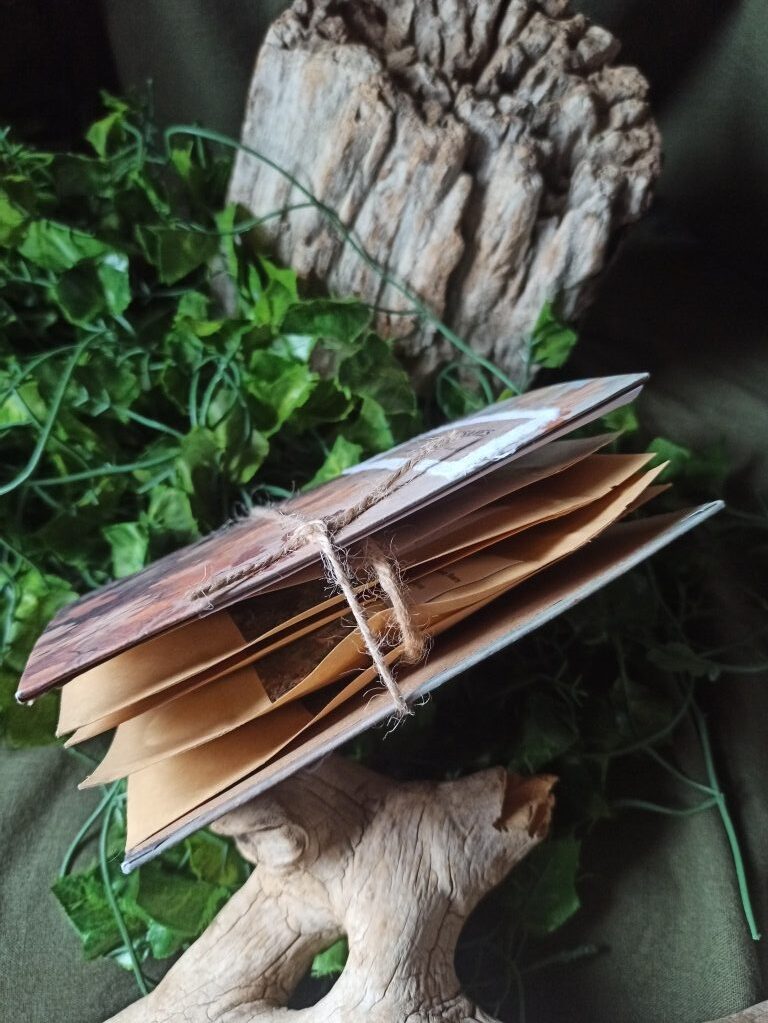 Le journal à tisanes 5
