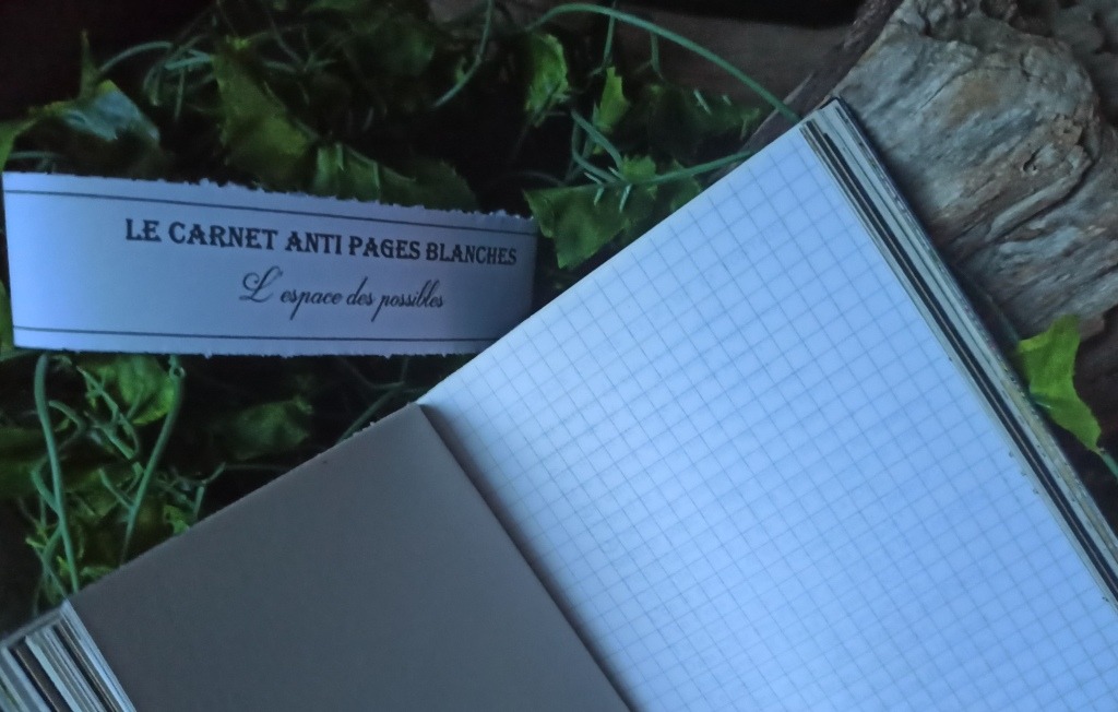 Carnet artisanal anti pages blanches