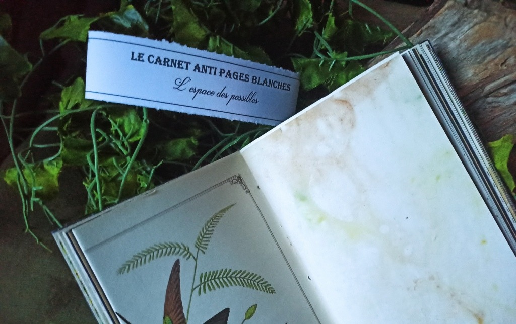 Carnet artisanal anti pages blanches