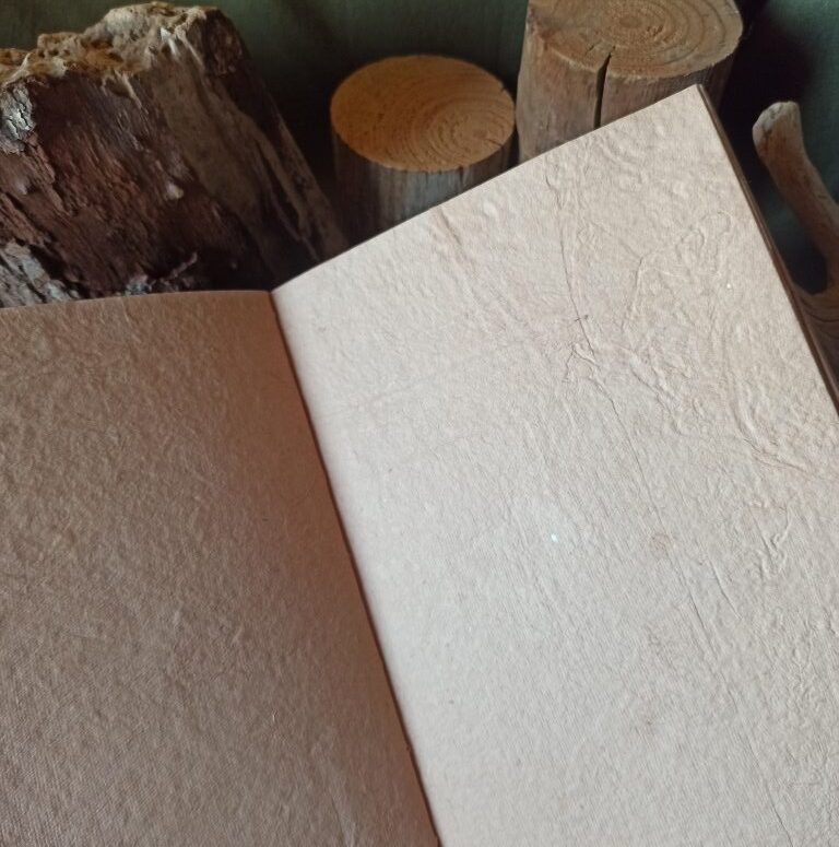 Grimoire vierge, papier coton reliure artisanale