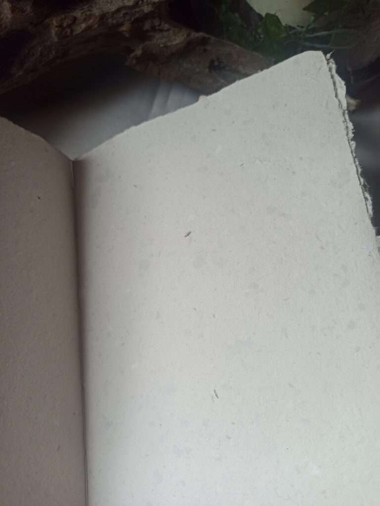 Grimoire, carnet artisanal, papier recyclé fait main