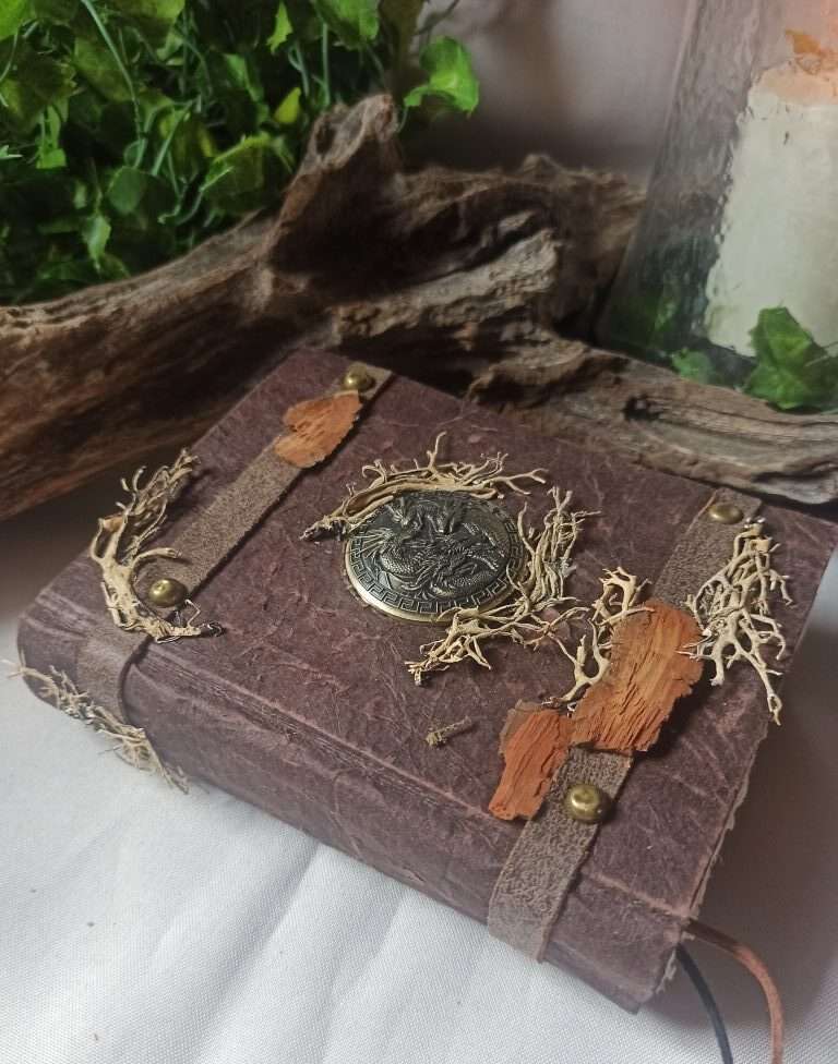Le grimoire de Zéphyr(3)