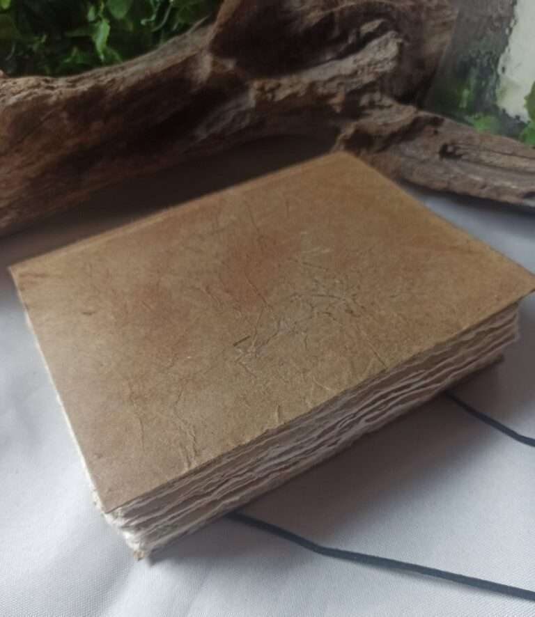 Le nomade n°1(2)