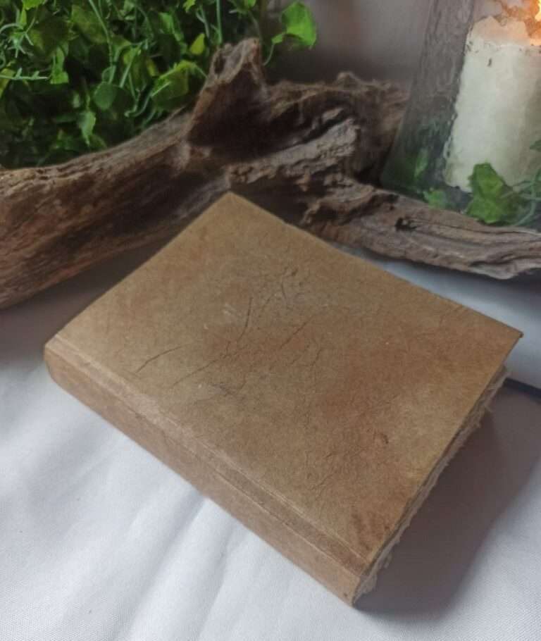 Le nomade n°1(4)