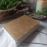 Le nomade n°2(1)