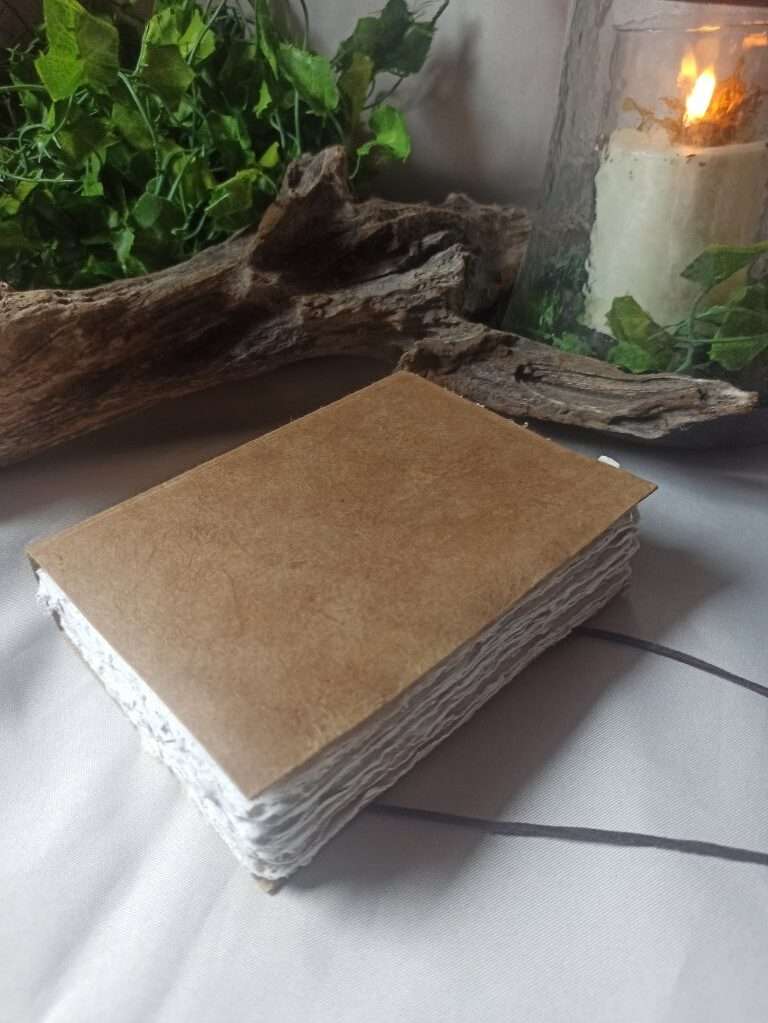 Le nomade n°2(1)