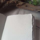 Le nomade n°2(2)