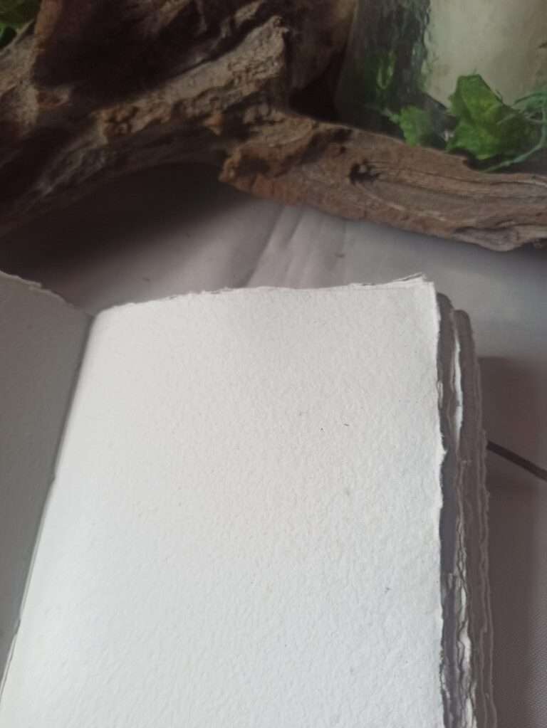 Le nomade n°2(2)