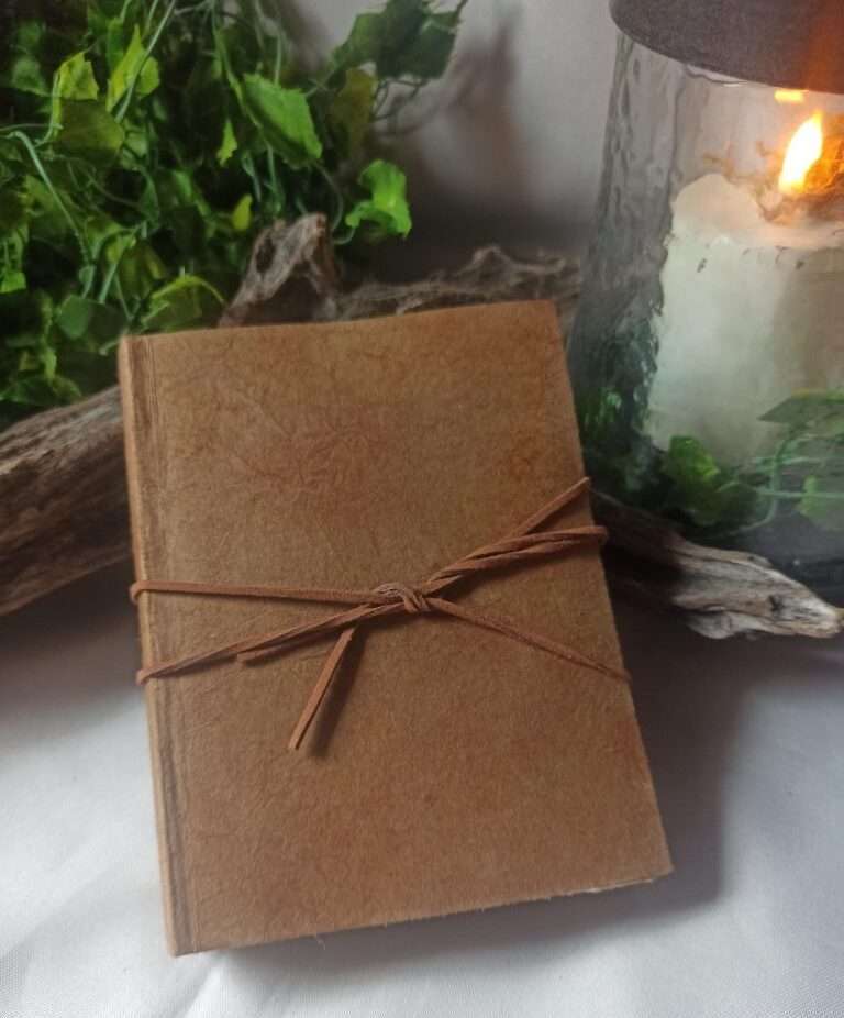 le nomade n°3(1)