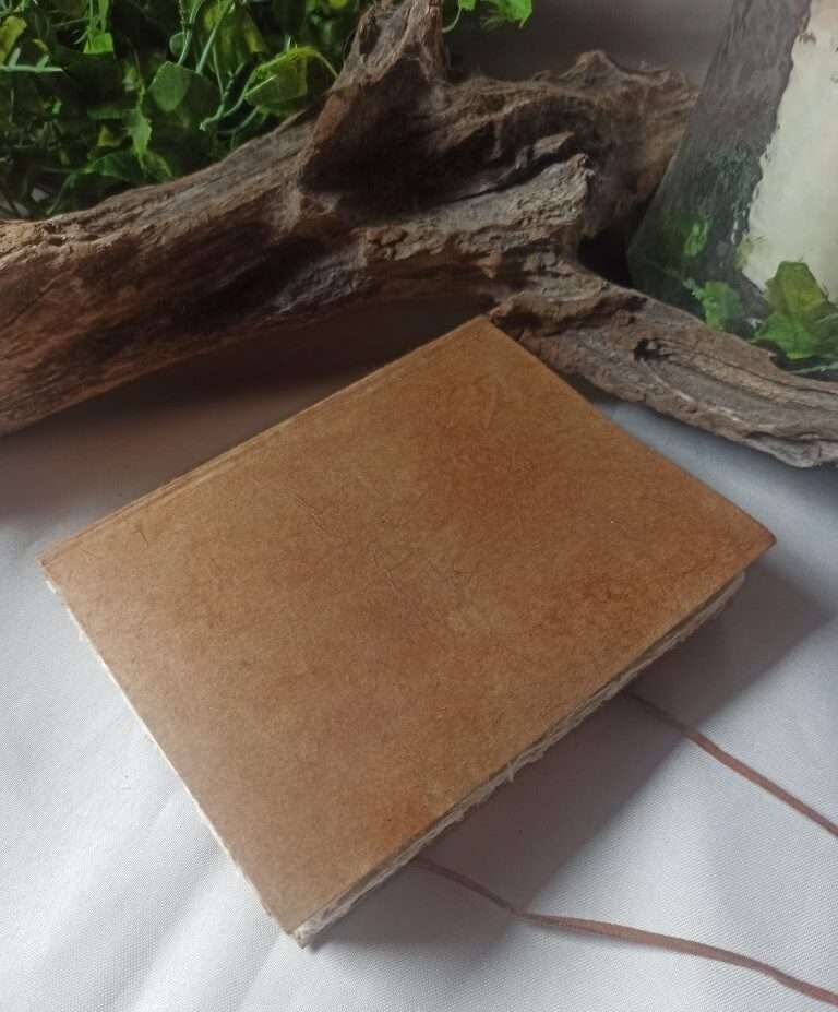 le nomade n°3(2)