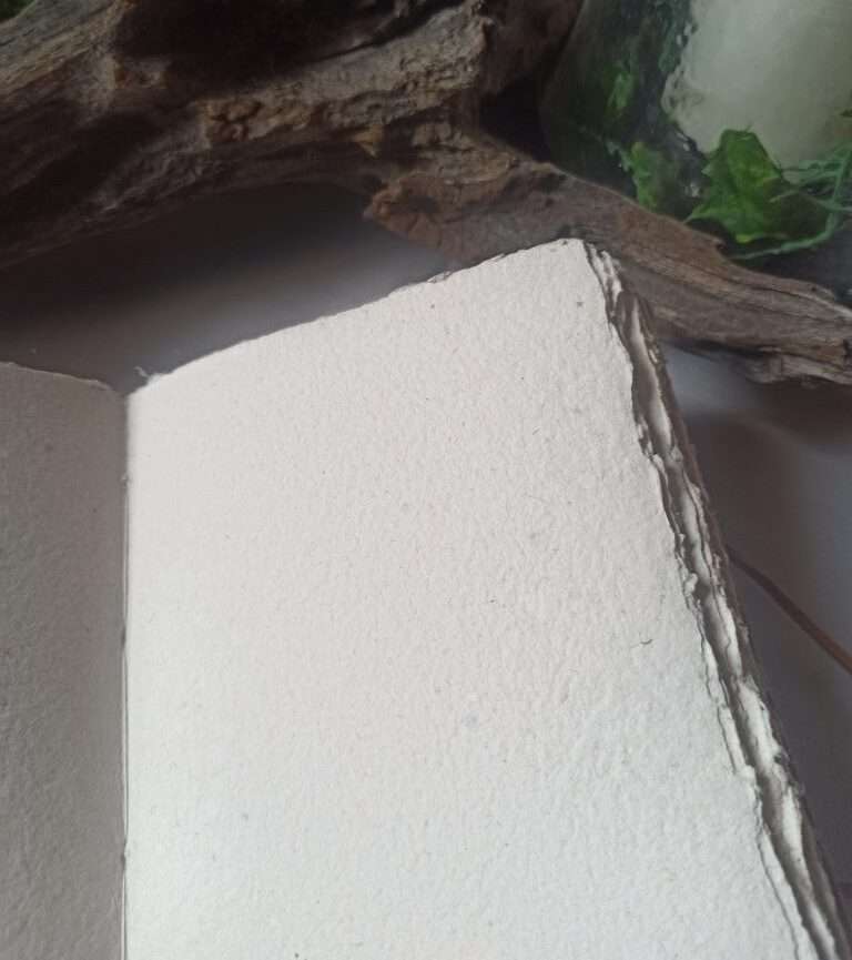 le nomade n°3(3)