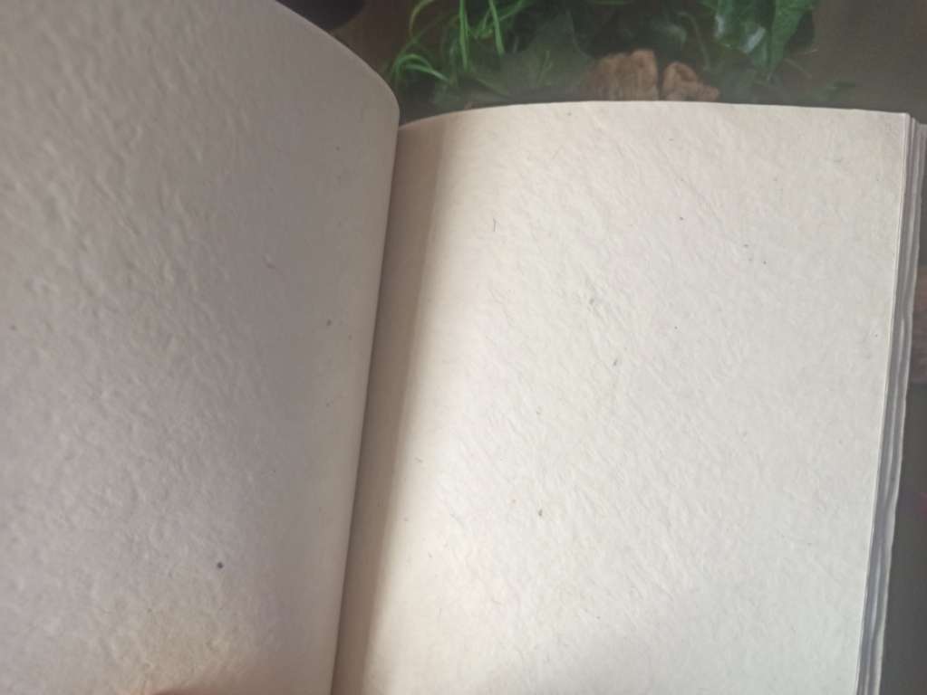 Carnet artisanal papier recyclé et végétal
