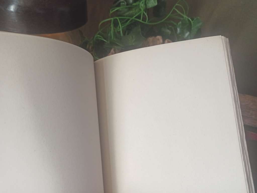 Carnet artisanal papier recyclé et végétal