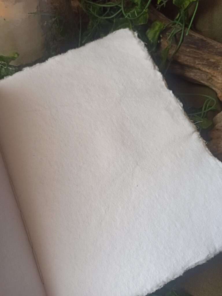 Le grimoire Chemin des rêves n°2(3)