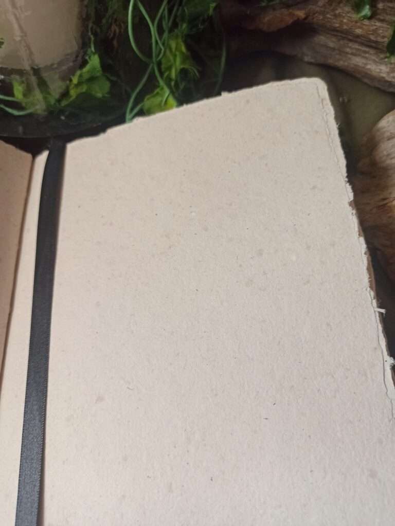 Grimoire artisanal, papier fabriqué à la main à l'atelier, reliure artisanale