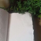 Grimoire artisanal, papier coton recyclé, L'arbre à papier Grimoire artisanal, papier coton recyclé, L'arbre à papier