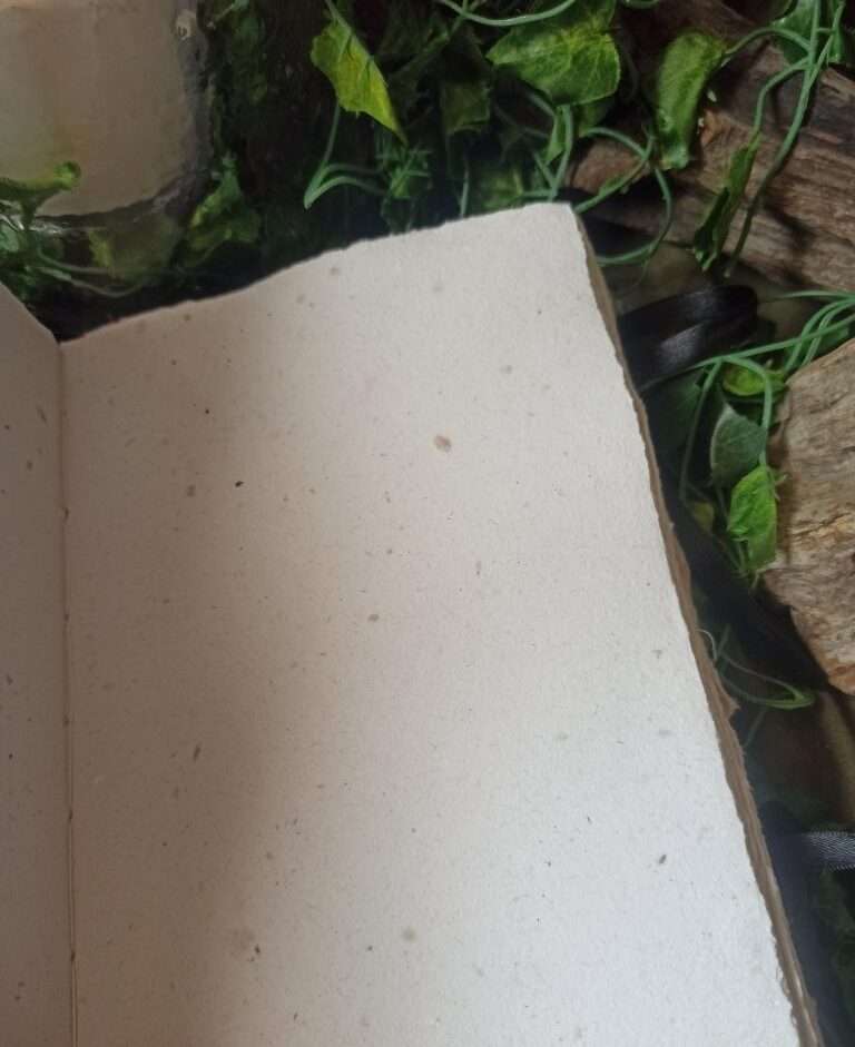 Grimoire artisanal, papier fabriqué à la main à l'atelier, reliure artisanale