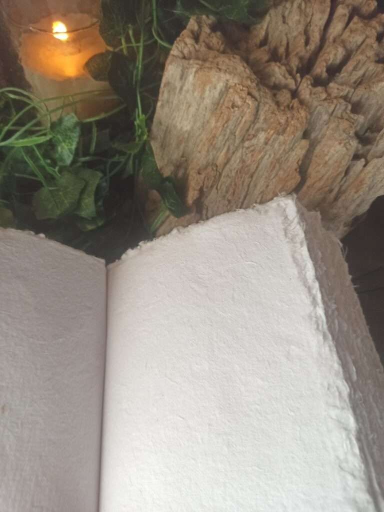 Le grimoire Séraphine(4)