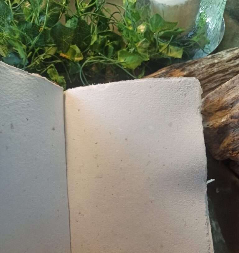 Grimoire artisanal, papier fait main à l'atelier, reliure artisanale, L'arbre à papier Grimoire artisanal, papier fait main à l'atelier, reliure artisanale, L'arbre à papier