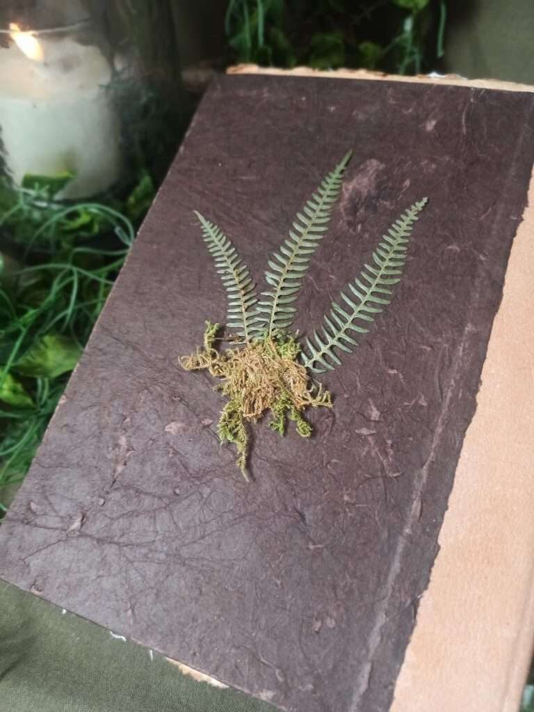 Grimoire artisanal, papier coton recyclé, L'arbre à papier Grimoire artisanal, papier coton recyclé, L'arbre à papier