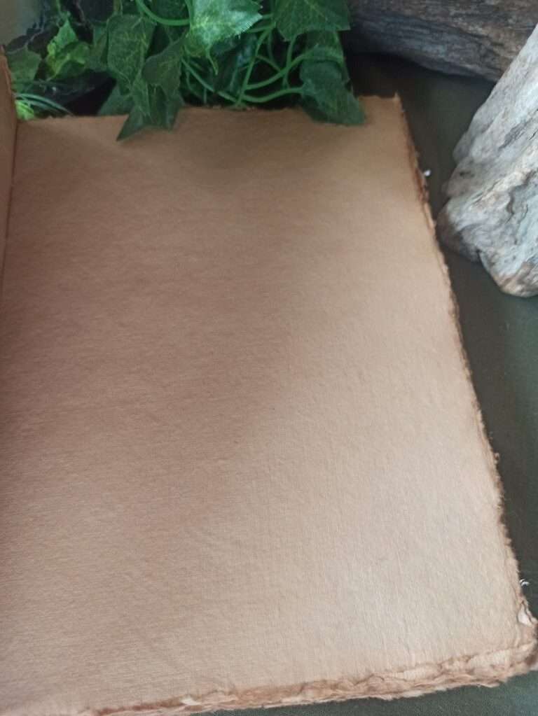 Grimoire artisanal, papier coton recyclé, reliure artisanale, L'arbre à papier