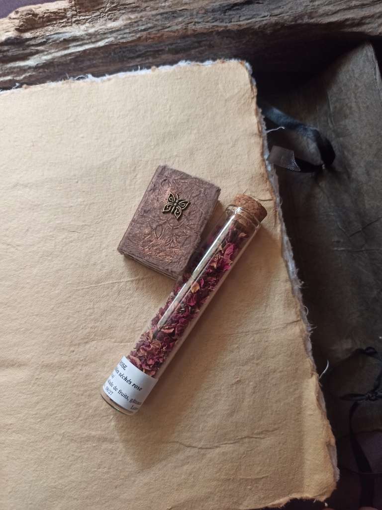 Le grimoire Arlia, papier coton, reliure artisanale Le grimoire Arlia, papier coton, reliure artisanale