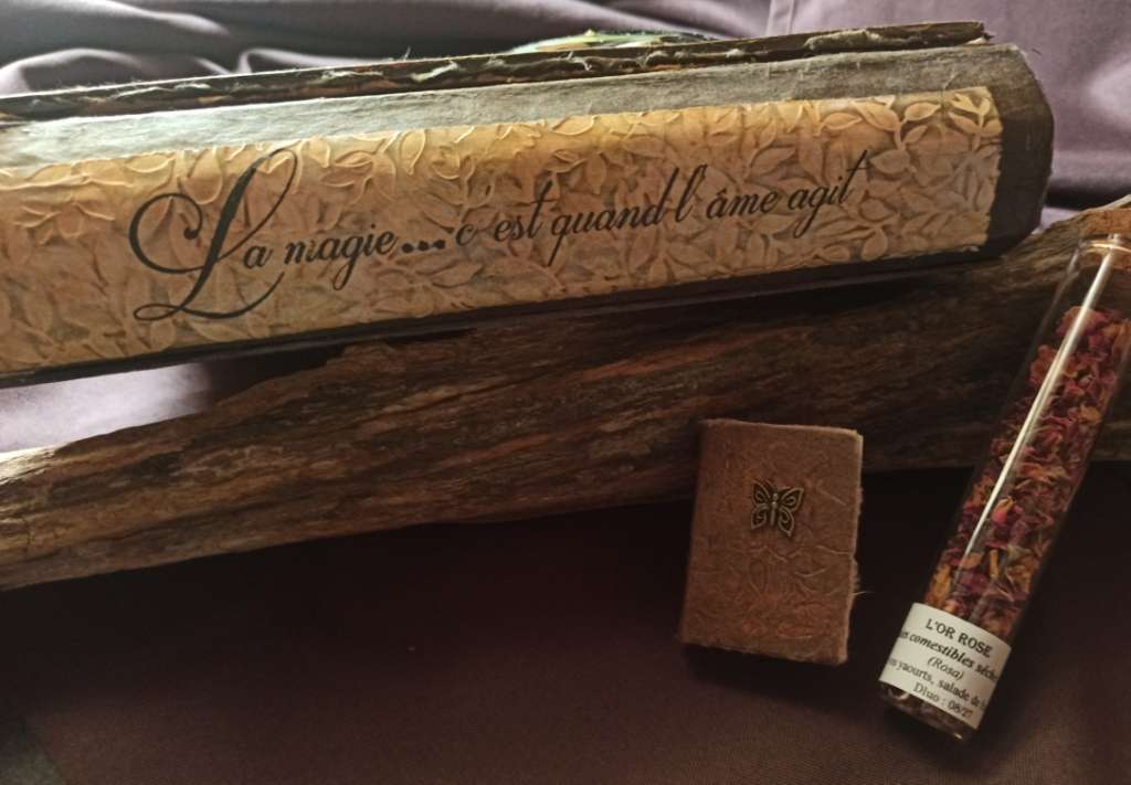 Le grimoire Arlia, papier coton, reliure artisanale Le grimoire Arlia, papier coton, reliure artisanale