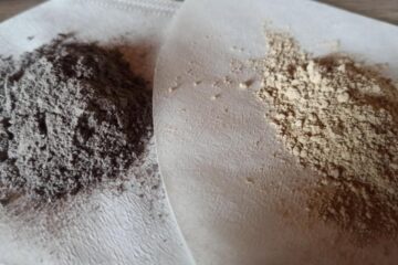 Pigment végétal
